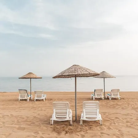 Thalassa Beach Vokolidha